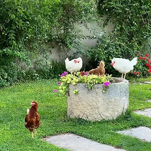 visit hotel